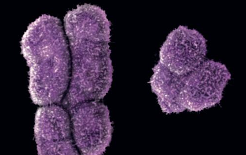 1467681312133015.png QQ截圖20160705091525.png