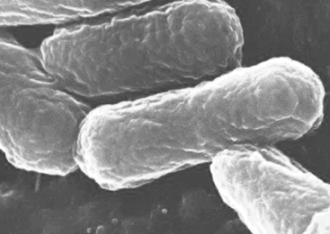 1467941704537337.png QQ截圖20160708093507.png