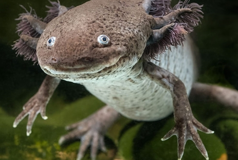 1468201483439870.png QQ截圖20160711094505.png